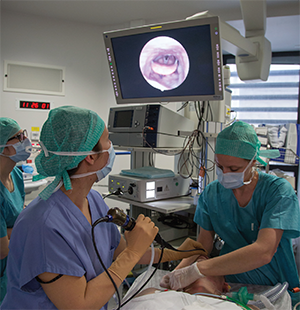 Patient undergoing sleep endoscopy.