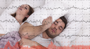 © Herrndorff; xpixel / shutterStock.com