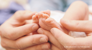 © Anna Demjanenko / shutterstock.com