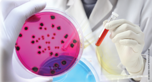 Poor quality control and reproducibility have led to a decline in public trust, funding, and new researchers
