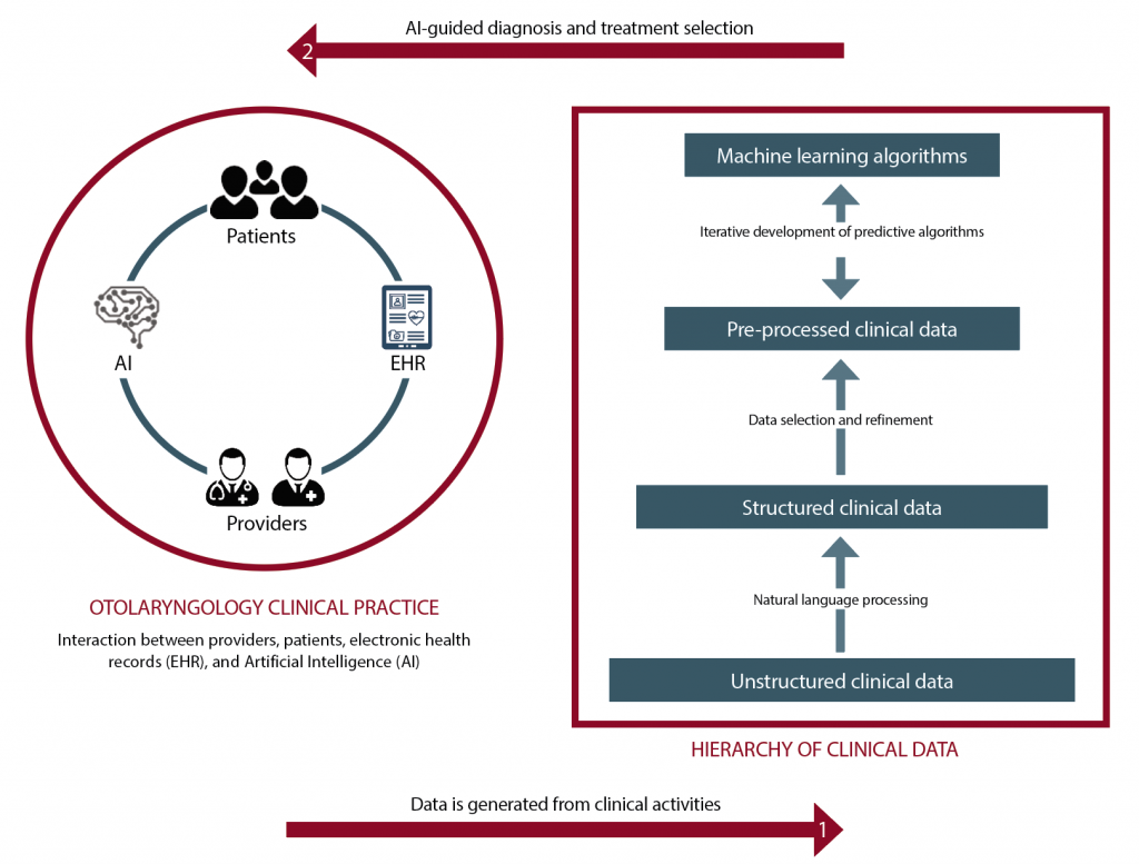 The figure shows how AI can be implemented to support otolaryngology practices. A large amount of data is generated from clinical interactions (e.g., office visits, imaging studies, surgeries, pathology), which can then be used to build machine learning algorithms, which can in turn be used to provide clinical decision support. © Graphic by Selina Zapata Bur