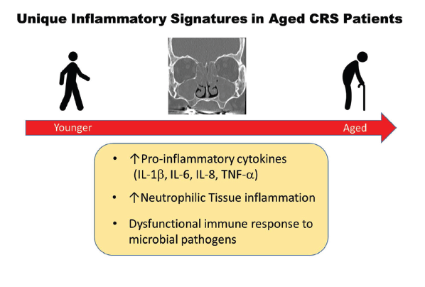 Figure 1. Unique Inflammatory Signatures in Aged CRS Patients. Reprinted from J Allergy Clin Immunol. 2019;143:990–1002, Copyright 2019, with permission from Elsevier.