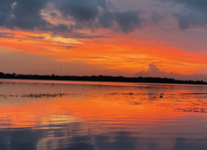 A photo by Dr. Wei of Lake Nona, Florida, her favorite spot to watch the sunset.