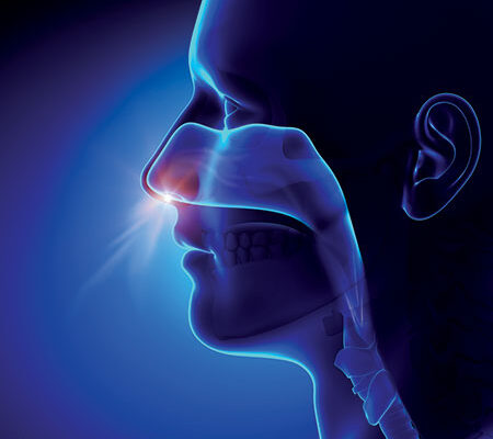 Empty Nose Syndrome: Physiological, Psychological, or Perhaps a Little of Both?