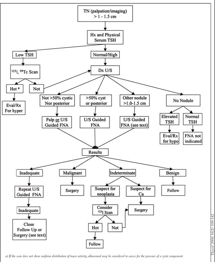 Thyroid Diagnosis Chart