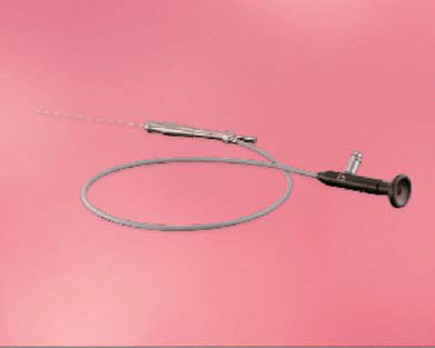 Figure. Dr. Marchal collaborated with the Karl Storz Company to develop this scope used for sialendoscopy.