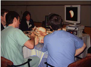 Figure. This endoscopist is working with an anesthesiologist, helping to develop interprofessional skills and teamwork.